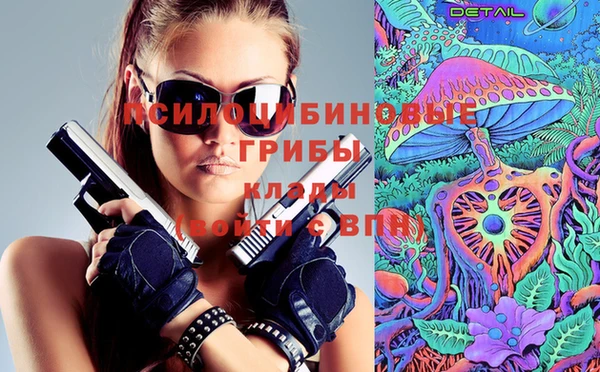 сатива Богородск