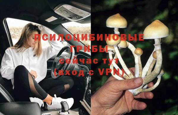 spice Беломорск