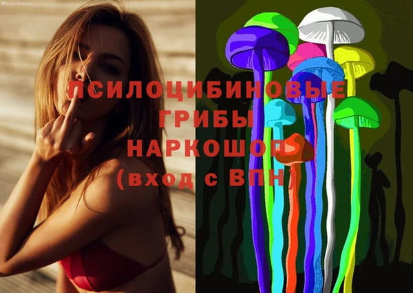 spice Беломорск