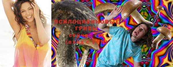 прущие грибы Белоозёрский