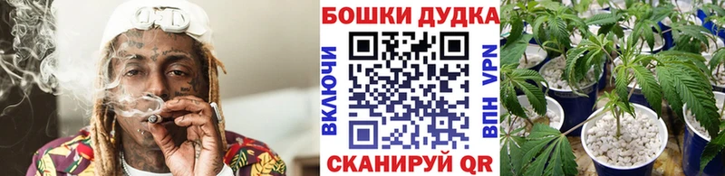 Канабис конопля  Белёв 